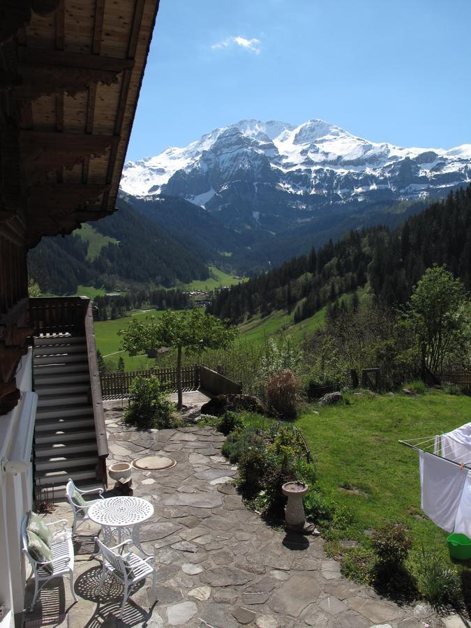 렌크 Bergluft B&B 외부 사진