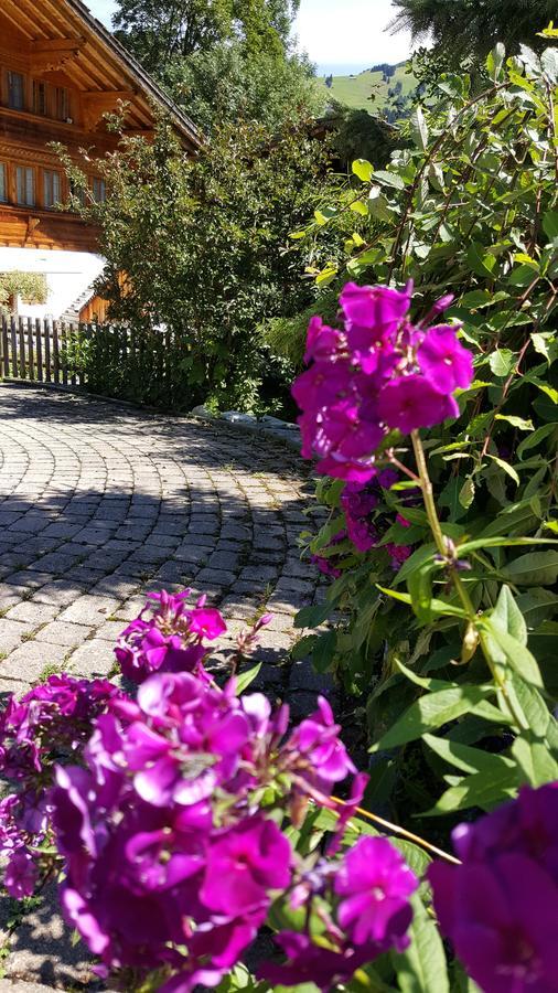 렌크 Bergluft B&B 외부 사진