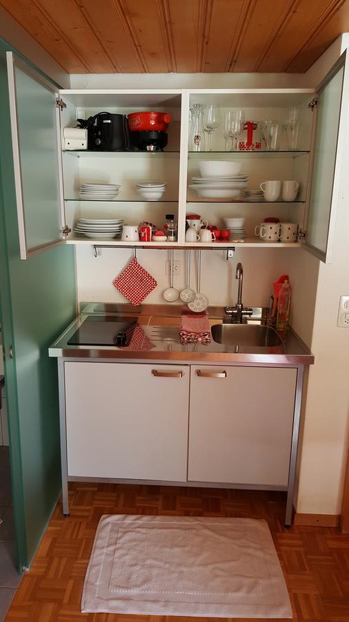 렌크 Bergluft B&B 외부 사진