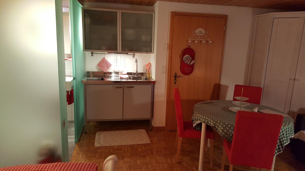 렌크 Bergluft B&B 외부 사진